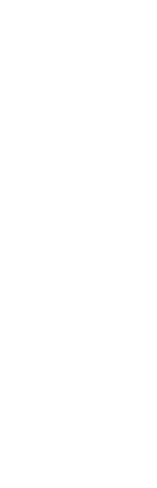 EPFL Rocket Team Logo